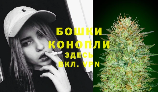 ПСИЛОЦИБИНОВЫЕ ГРИБЫ Инсар