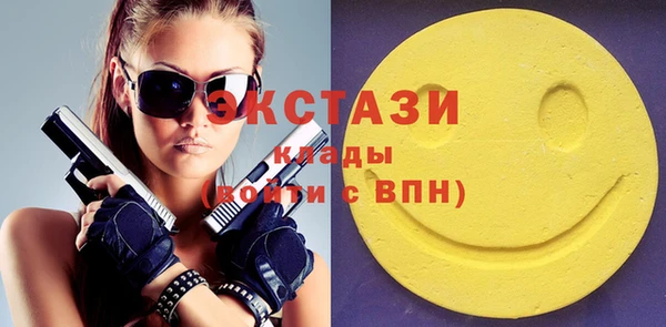 гашик Дмитров