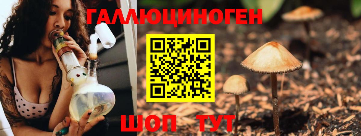 Воскресенск  Псилоцибиновые грибы Psilocybine cubensis  Псилоцибиновые грибы Magic Shrooms  Вход с VPN 